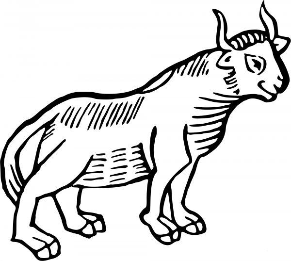 Vintage Stylised Bull coloring page image