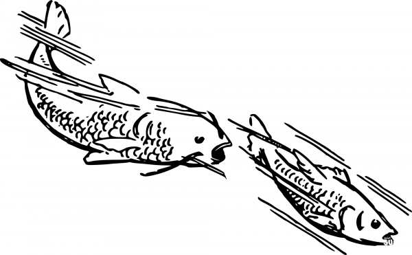 Vintage Swimming Fish coloring page image