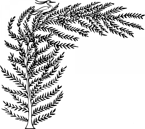 Vintage Tamarisk coloring page image