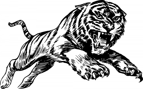 Vintage Tiger coloring page image
