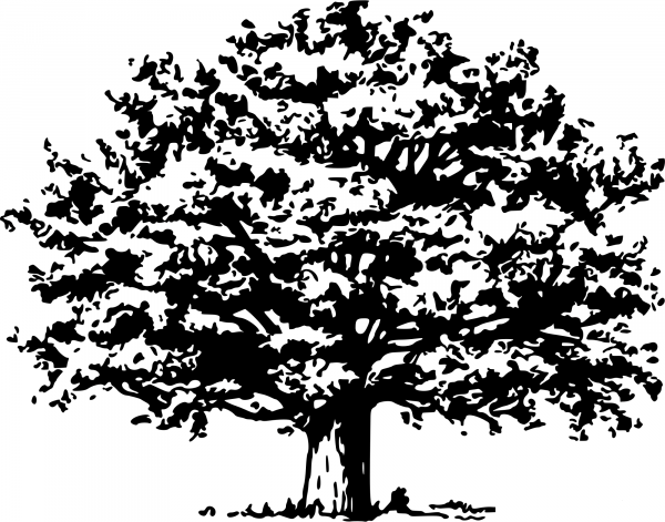 Vintage Tree coloring page image