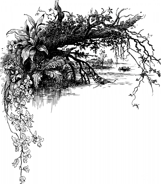 Vintage Tropical Plants River coloring page image