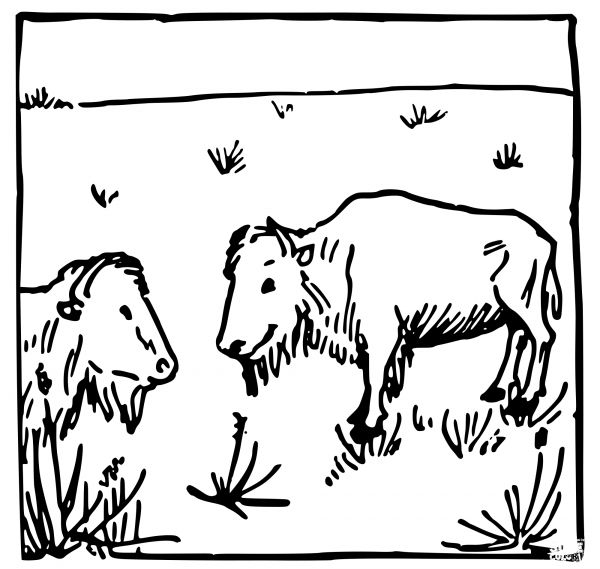 Vintage Two Buffalo coloring page image