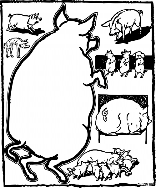 Vintage Various Pigs coloring page image