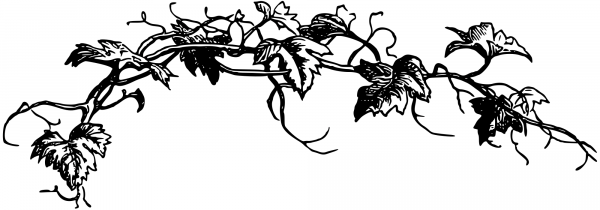 Vintage Vine coloring page image