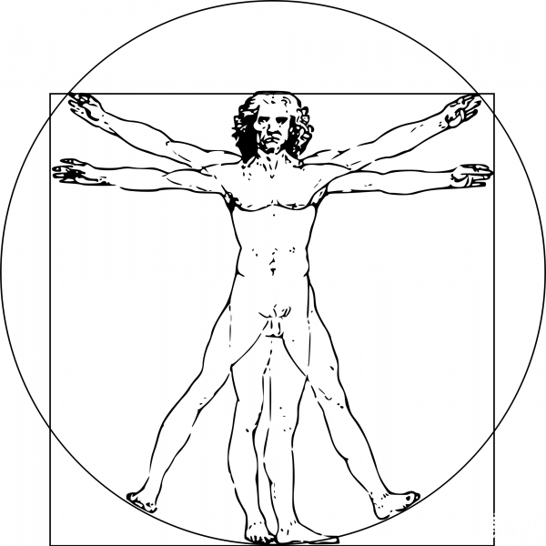 Vintage Vitruvian Man coloring page image