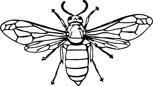 Vintage Wasp coloring page image