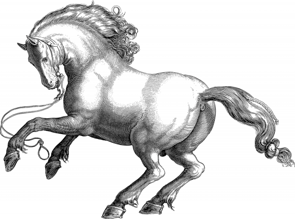 Vintage Wild Stallion Line Art coloring page image