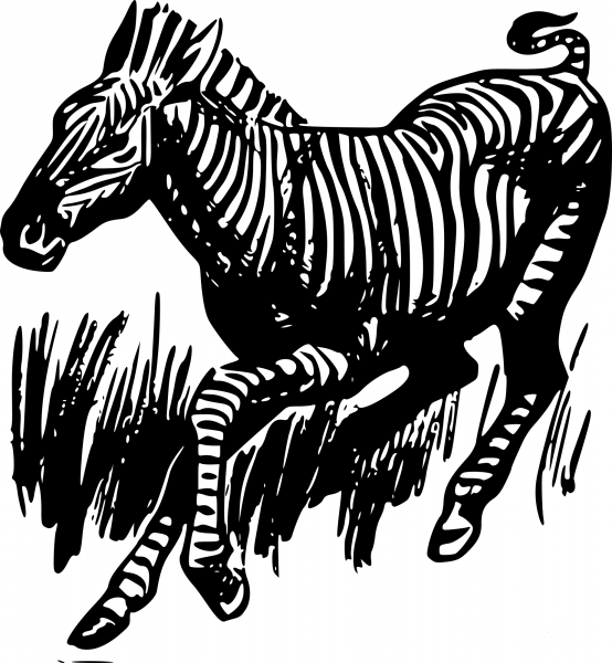 Vintage Zebra coloring page image