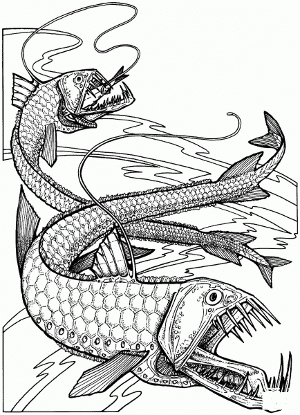 Viper Fishes coloring page image