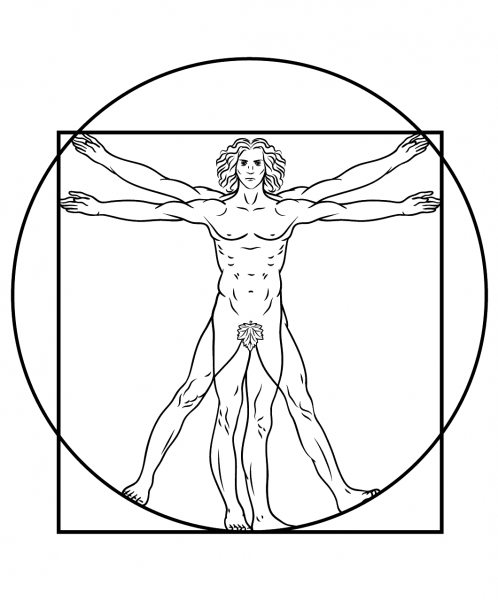 Vitruvian Man by Leonardo da Vinci coloring page image