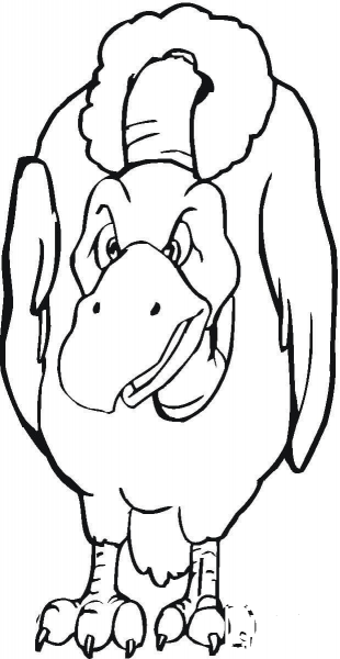 Vulture Bird  coloring page image