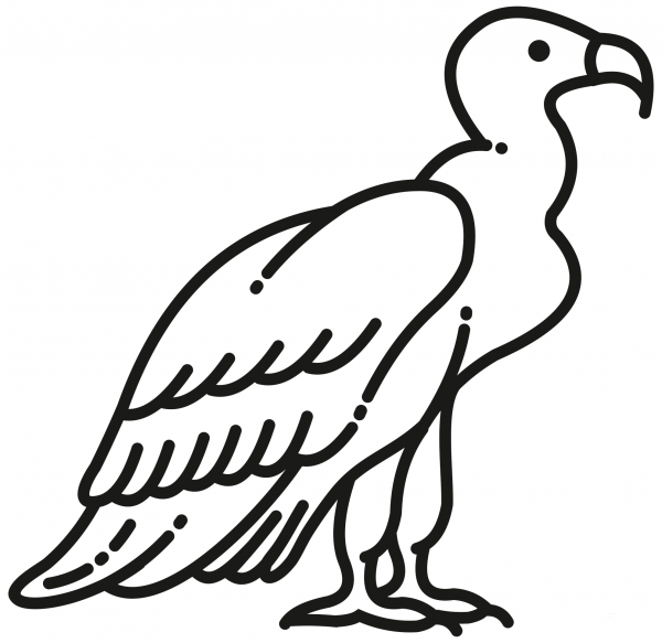 Vulture coloring page image