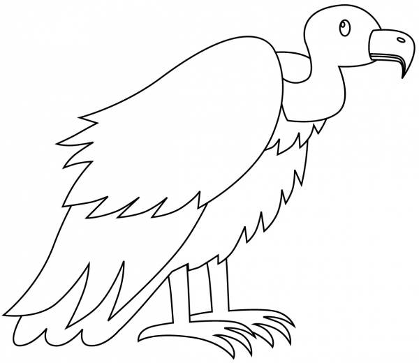 Vulture coloring page image