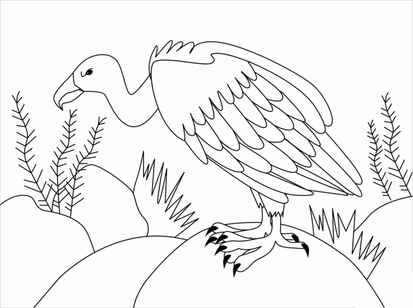 Vulture coloring page image