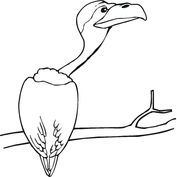 Vulture Sitting on the Tree  coloring page image
