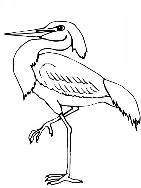 Wading Heron coloring page image