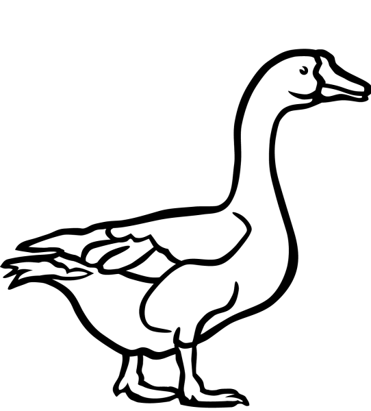 Walking goose coloring page image