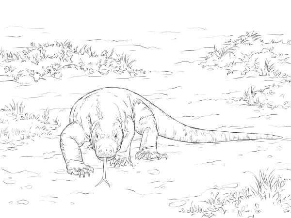 Walking Komodo Dragon coloring page image
