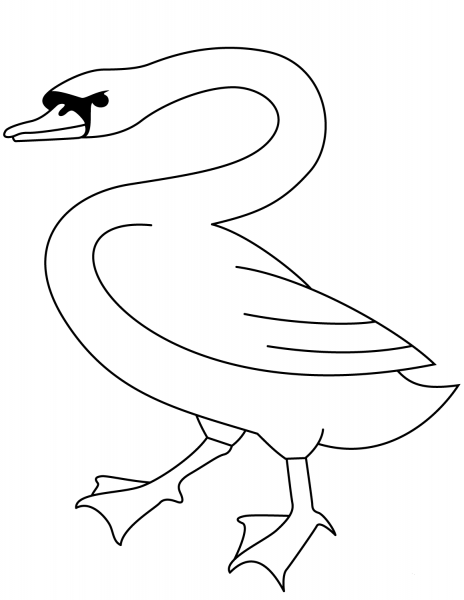 Walking Swan coloring page image