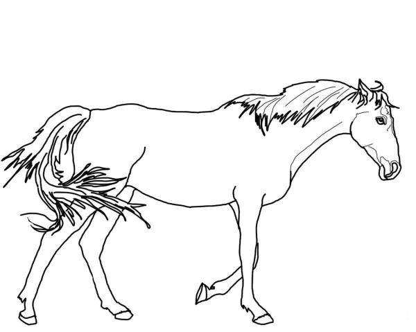 Walking Thoroughbred Horse coloring page image