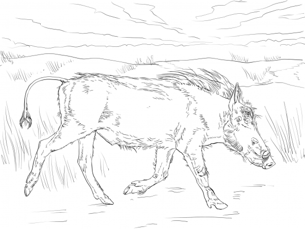 Walking Warthog coloring page image