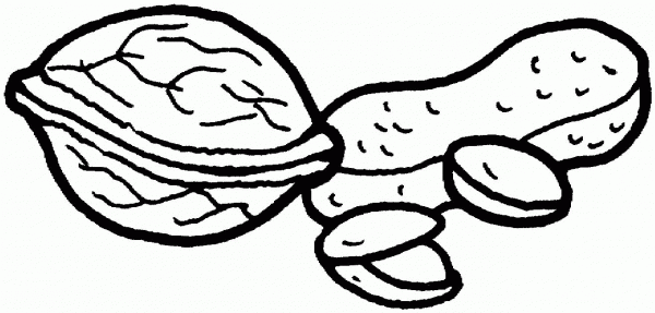Walnut, peanut and pistachio nuts coloring page image