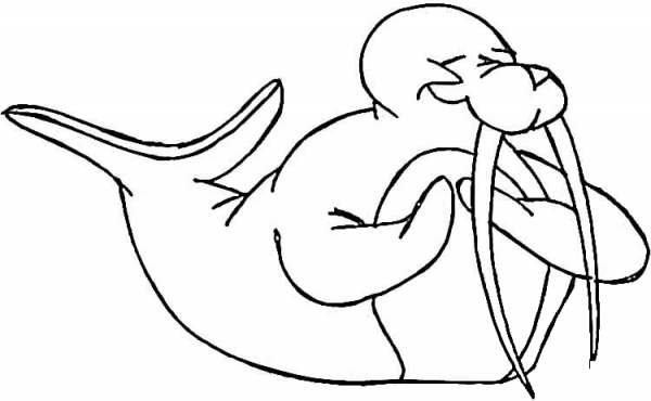 Walrus In Love  coloring page image