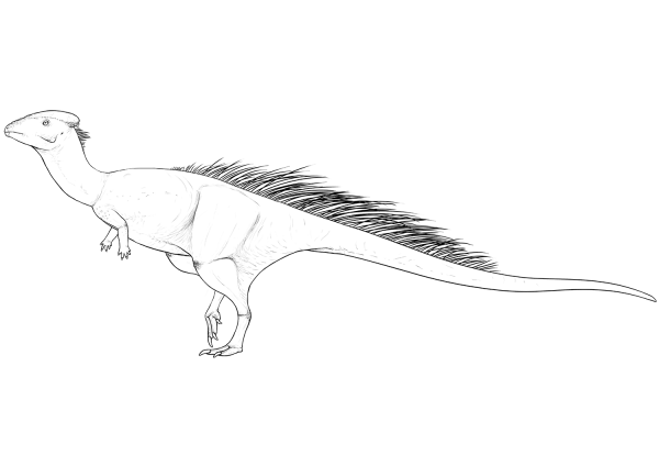 Wannanosaurus coloring page image