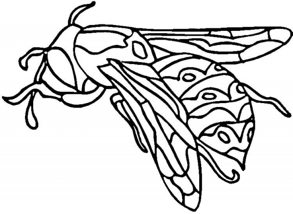 Wasp  coloring page image
