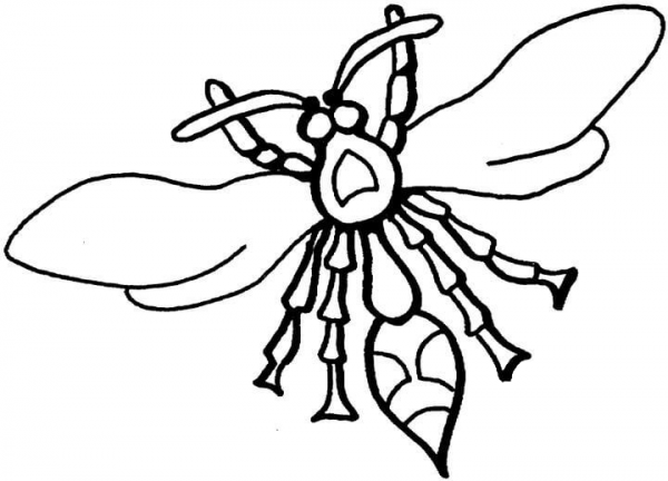 Wasps  coloring page image