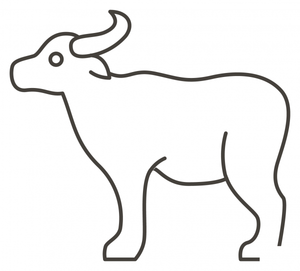 Water Buffalo coloring page image