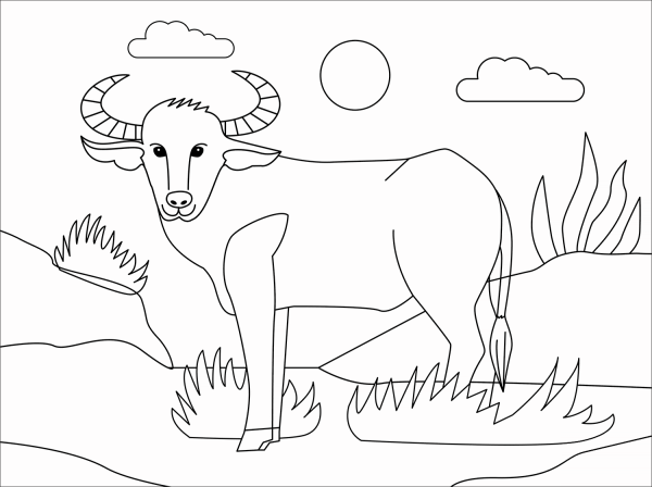 Water Buffalo coloring page image