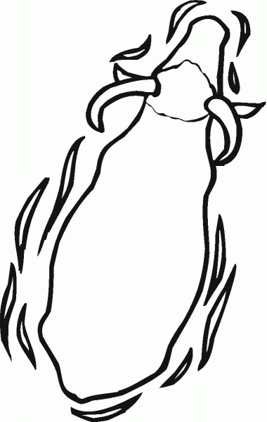Water Buffalo from the top coloring page image