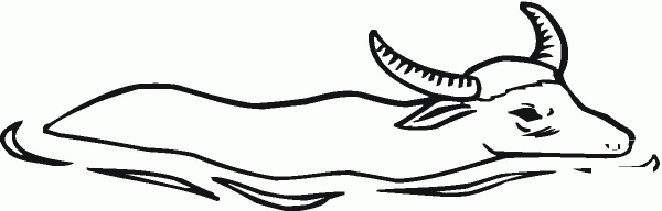 Water Buffalo in the water coloring page image