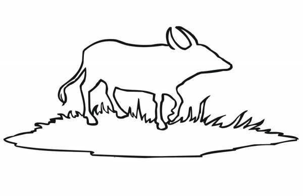 Water Buffalo Outline coloring page image