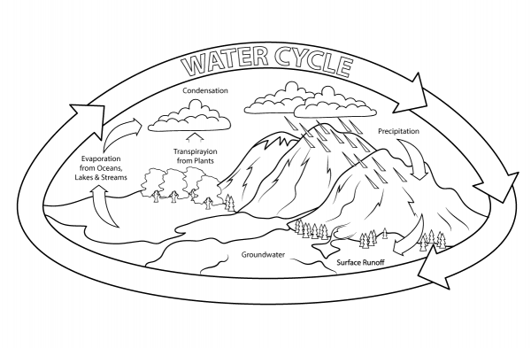 Water Cycle coloring page image
