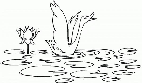 Water Lily And Swan coloring page image