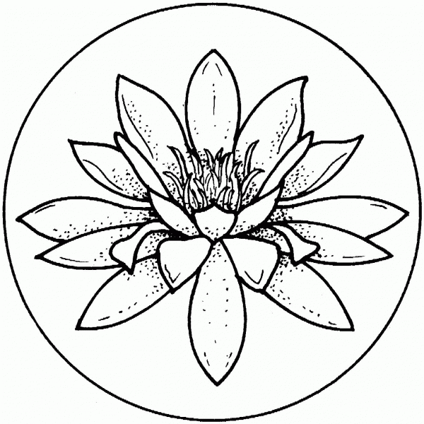 Water lily blossom coloring page image