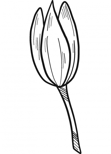 Water Lily Bud coloring page image