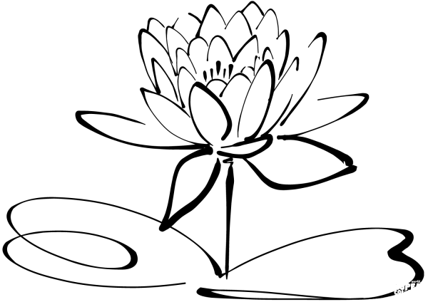 Water Lily coloring page image