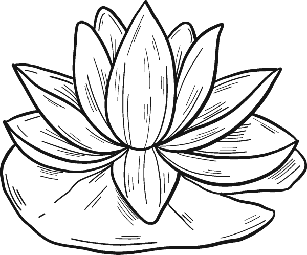 Water Lily coloring page image