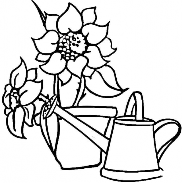 Watering Can and Sunflowers  coloring page image