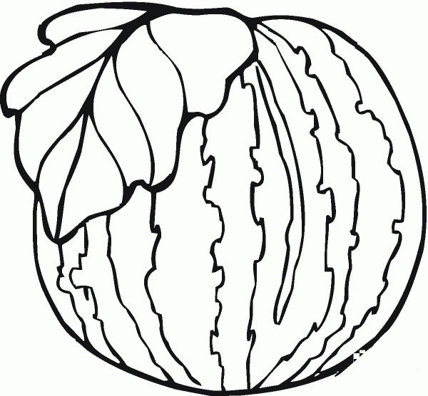 Watermelon coloring page image