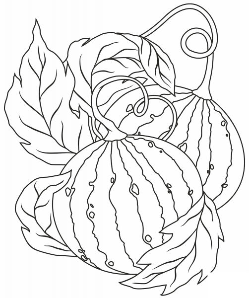 Watermelon coloring page image