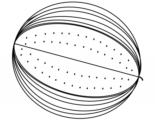 Watermelon coloring page image