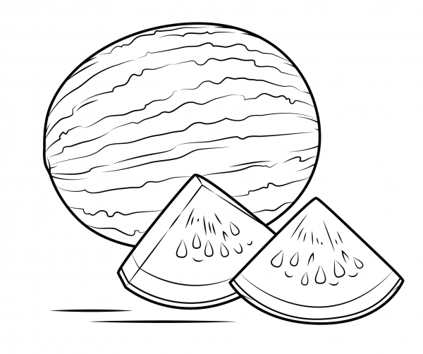 Watermelon coloring page image