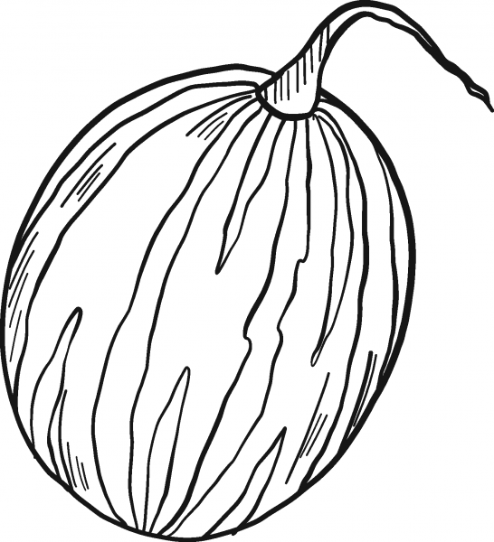 Watermelon coloring page image