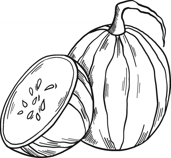 Watermelon coloring page image