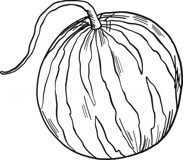 Watermelon coloring page image